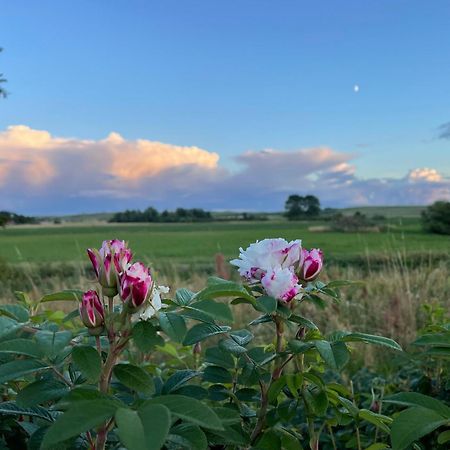 Droemhus Pa Oesterlen Glemminge エクステリア 写真