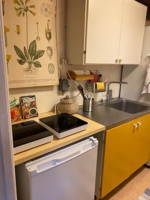 Droemhus Pa Oesterlen Glemminge エクステリア 写真