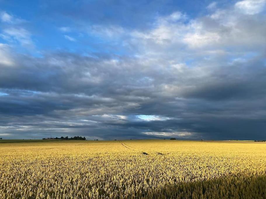 Droemhus Pa Oesterlen Glemminge エクステリア 写真